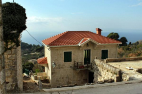 Holiday house with a swimming pool Gornja Podgora, Makarska - 5985